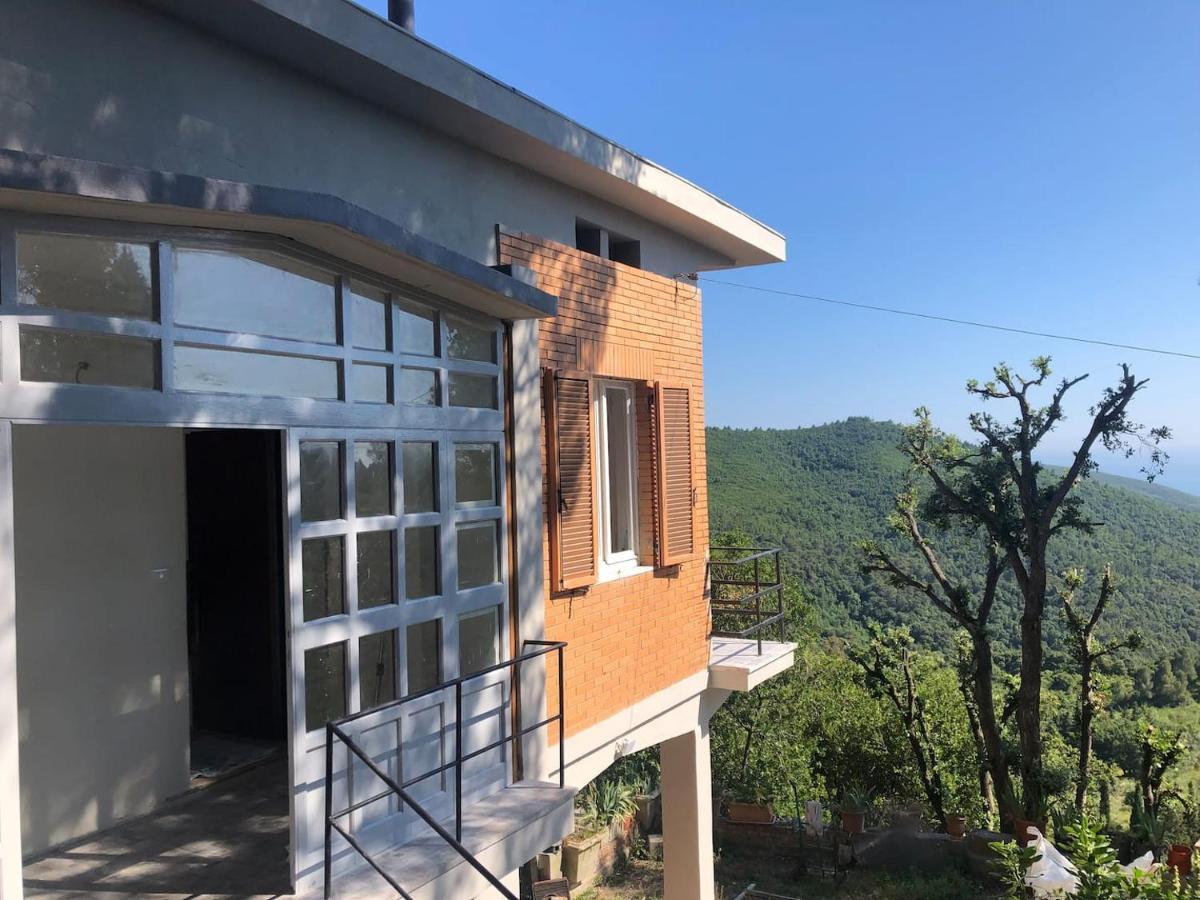 Villa Erika Montenero  Dış mekan fotoğraf