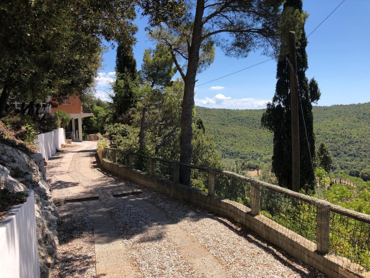 Villa Erika Montenero  Dış mekan fotoğraf