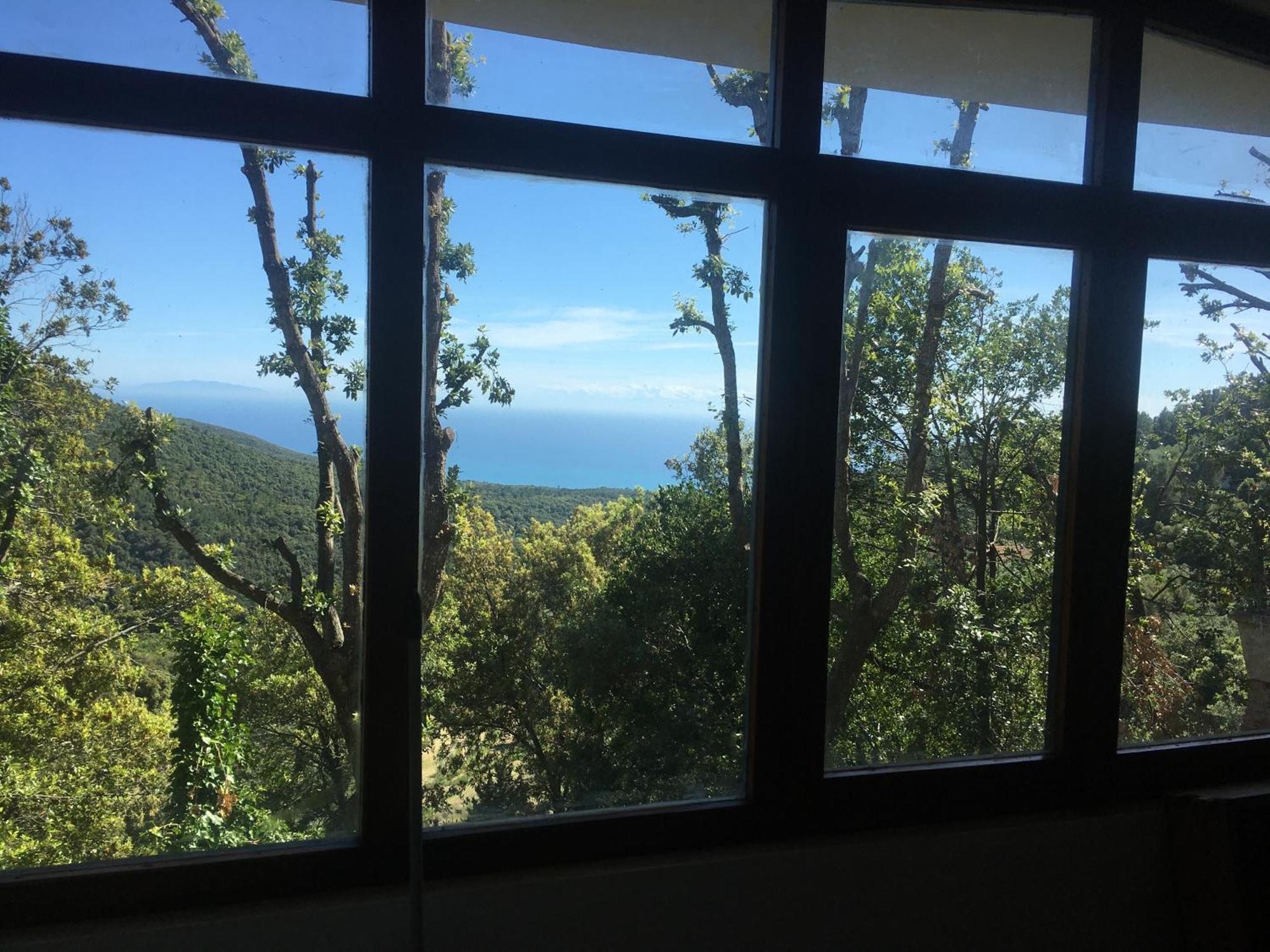 Villa Erika Montenero  Dış mekan fotoğraf